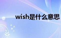 wish是什么意思（wish什么意思）