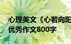 心理美文《心若向阳》的心灵感悟 心若向阳优秀作文800字