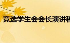 竞选学生会会长演讲稿 学生会副主席竞选稿