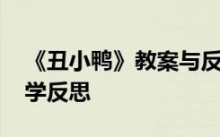 《丑小鸭》教案与反思 课文《丑小鸭》的教学反思