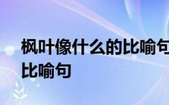 枫叶像什么的比喻句(最新版) 枫叶像什么的比喻句