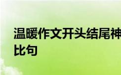 温暖作文开头结尾神仙句子 温暖是什么的排比句