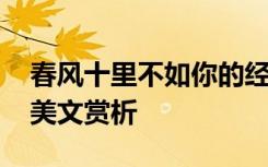 春风十里不如你的经典名句 春风十里不如你美文赏析