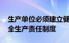 生产单位必须建立健全安全生产责任制度 安全生产责任制度