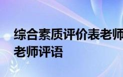 综合素质评价表老师评价 综合素质评价手册老师评语