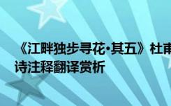 《江畔独步寻花·其五》杜甫 《江畔独步寻花其五》杜甫唐诗注释翻译赏析
