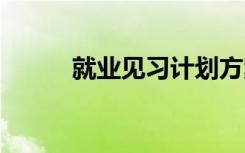 就业见习计划方案 就业见习总结