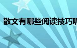 散文有哪些阅读技巧呢 散文有哪些阅读技巧