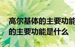 高尔基体的主要功能是什么和什么 高尔基体的主要功能是什么