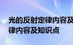 光的反射定律内容及知识点总结 光的反射定律内容及知识点