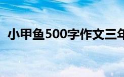 小甲鱼500字作文三年级 小甲鱼500字作文