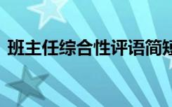 班主任综合性评语简短 经典班主任综合评语