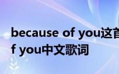 because of you这首歌中文歌词 because of you中文歌词