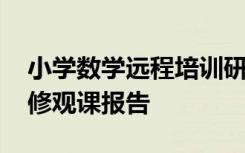 小学数学远程培训研修日志 小学数学远程研修观课报告