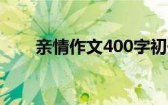 亲情作文400字初一 亲情作文400字