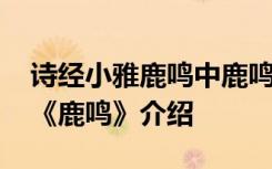 诗经小雅鹿鸣中鹿鸣的原文及解释 诗经小雅《鹿鸣》介绍