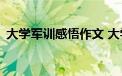 大学军训感悟作文 大学军训感受500字作文