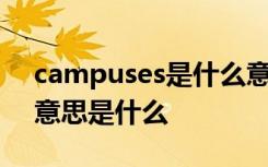 campuses是什么意思中文 campus的中文意思是什么