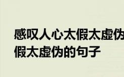 感叹人心太假太虚伪的句子简短 感叹人心太假太虚伪的句子