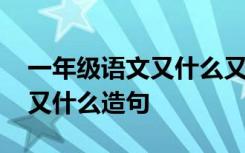 一年级语文又什么又什么造句 一年级又什么又什么造句