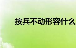 按兵不动形容什么 按兵不动成语解释