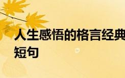 人生感悟的格言经典语录 人生感悟格言励志短句