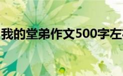 我的堂弟作文500字左右 我的堂弟作文500字