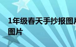 1年级春天手抄报图片大全 1年级春天手抄报图片