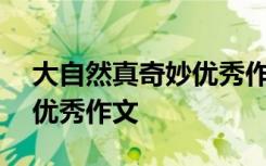 大自然真奇妙优秀作文400字 大自然真奇妙优秀作文