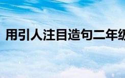 用引人注目造句二年级短句 用引人注目造句