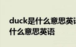 duck是什么意思英语怎么读音发音 duck是什么意思英语