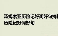 汤姆索亚历险记好词好句摘抄及感悟每章主要内容 汤姆索亚历险记好词好句