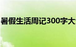 暑假生活周记300字大全 暑假生活周记300字