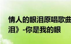 情人的眼泪原唱歌曲张学友 张小娴《情人无泪》-你是我的眼