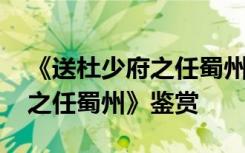 《送杜少府之任蜀州》古诗解析 《送杜少府之任蜀州》鉴赏