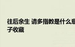 往后余生 请多指教是什么意思 往后余生请多指教的浪漫句子收藏