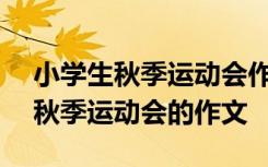 小学生秋季运动会作文500字左右 小学生写秋季运动会的作文