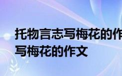 托物言志写梅花的作文650字左右 托物言志写梅花的作文