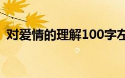 对爱情的理解100字左右 对爱情的理解随笔