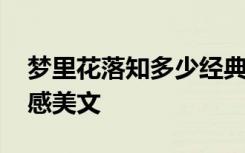 梦里花落知多少经典语段 梦里花落知多少情感美文