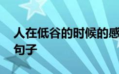 人在低谷的时候的感悟 人在低谷的人生感悟句子