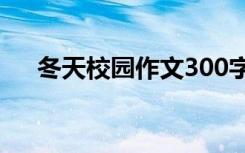 冬天校园作文300字左右 冬天校园作文