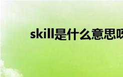 skill是什么意思呀 skill是什么意思