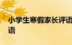 小学生寒假家长评语简短 小学生寒假家长评语