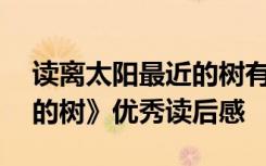 读离太阳最近的树有感800字 《离太阳最近的树》优秀读后感