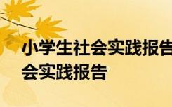 小学生社会实践报告范文(四年级) 小学生社会实践报告