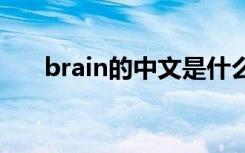 brain的中文是什么 brain的中文含义