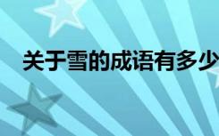 关于雪的成语有多少 关于雪的成语100个