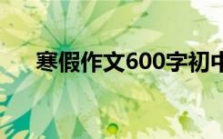 寒假作文600字初中 寒假的作文800字