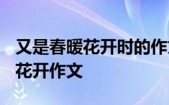 又是春暖花开时的作文初中1000字 又是春暖花开作文